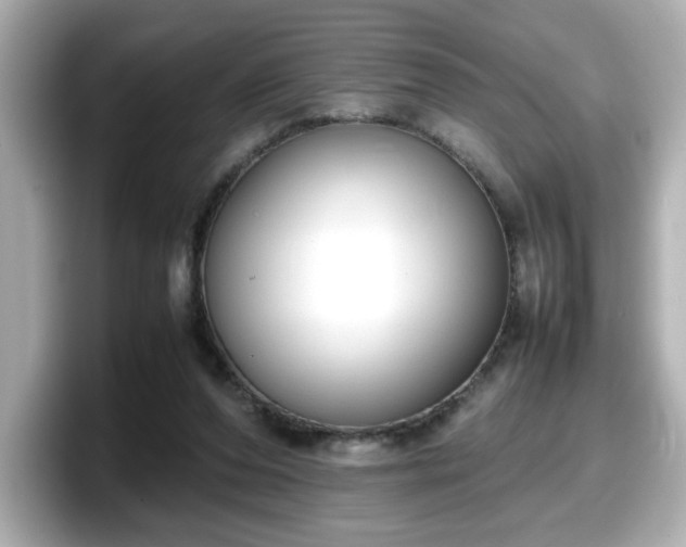 X0000098120208200804111122