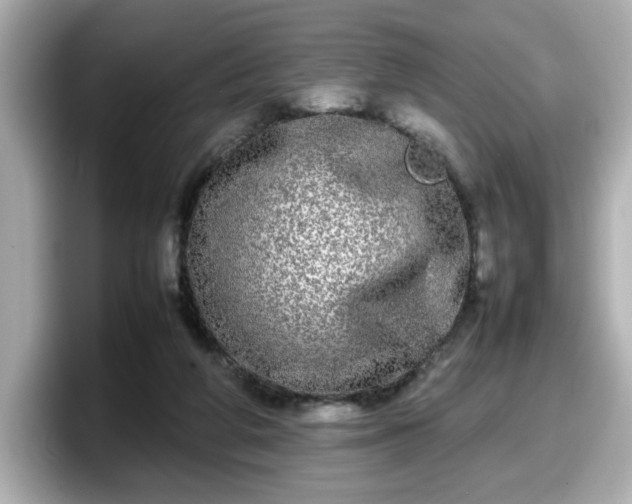 X0000098120210200804111122