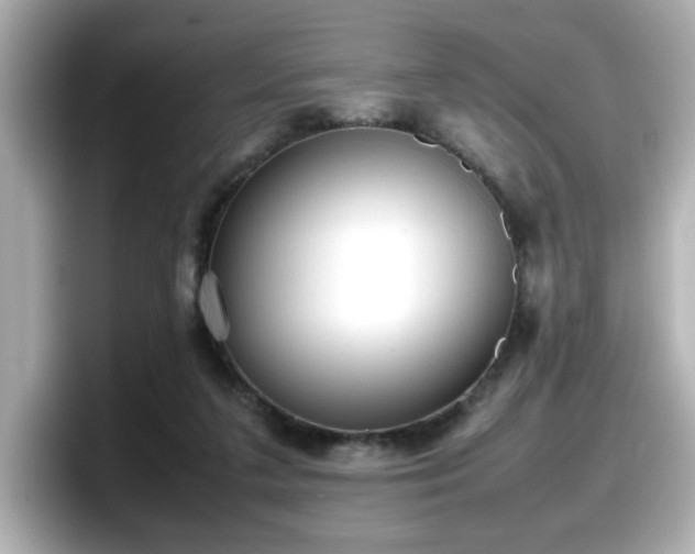 X0000098120211200804111122