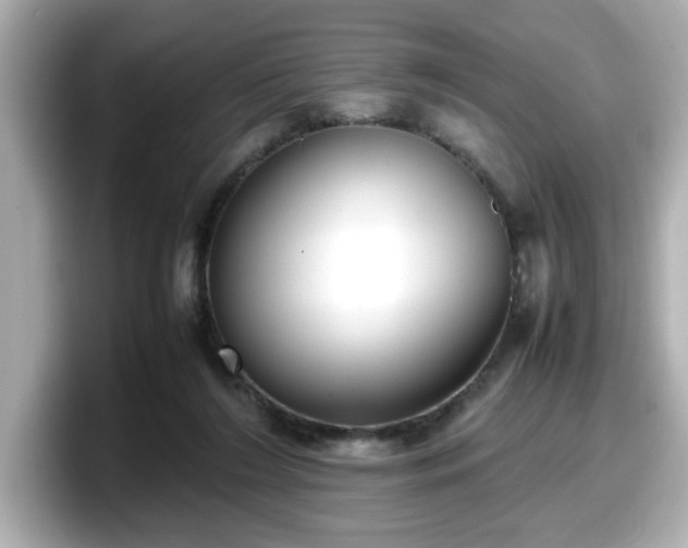 X0000098120212200804111122