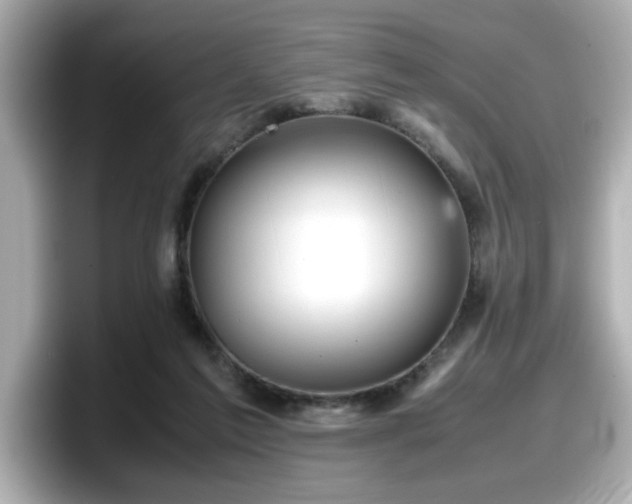 X0000098120213200804111122