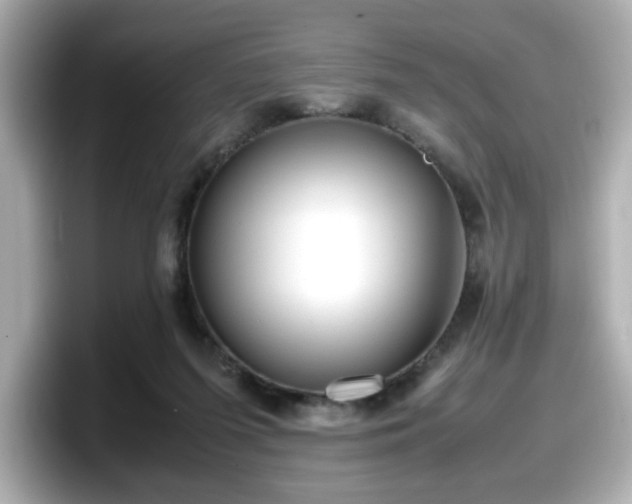 X0000098120215200804111122