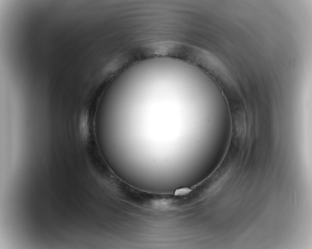 X0000098120216200804111122