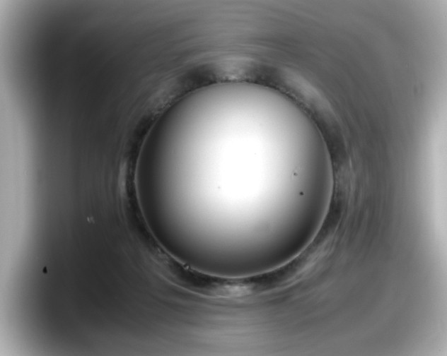 X0000098120217200804111122