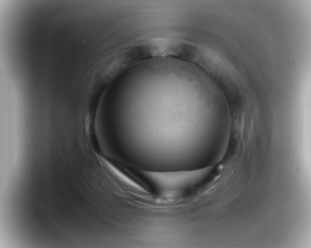 X0000098120219200804111121