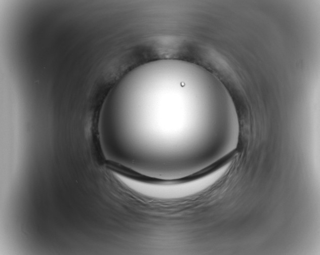 X0000098120221200804111121