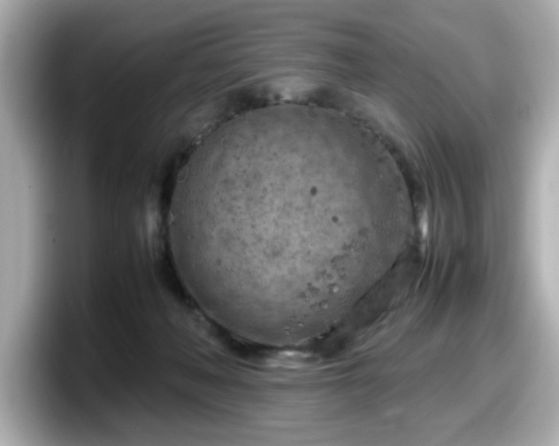 X0000098120222200804111121