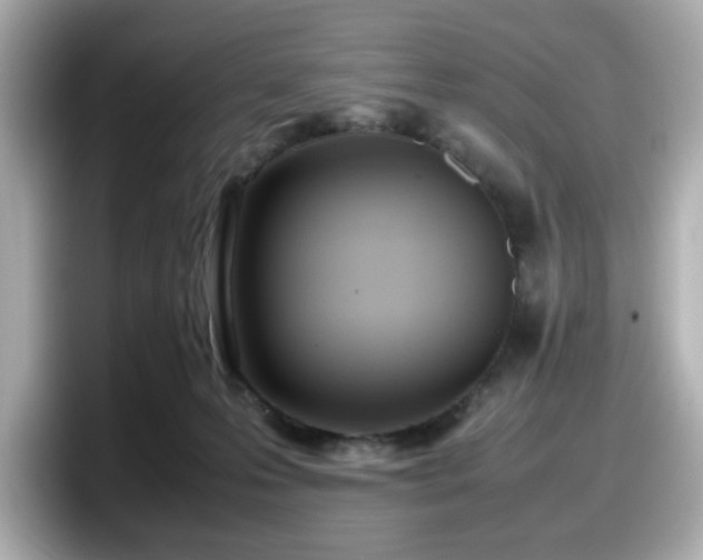 X0000098120223200804111121