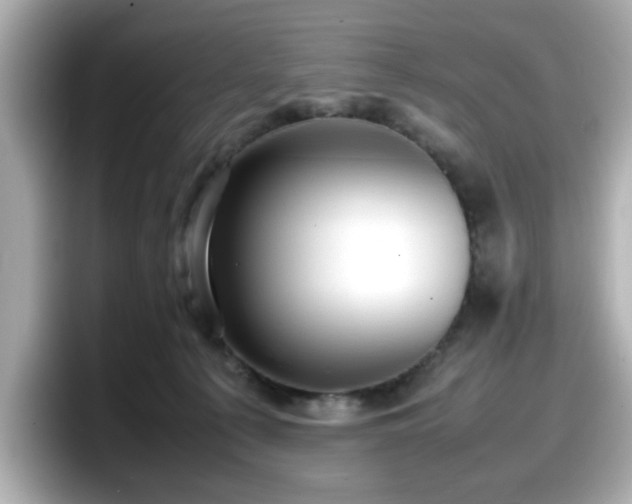 X0000098120225200804111121
