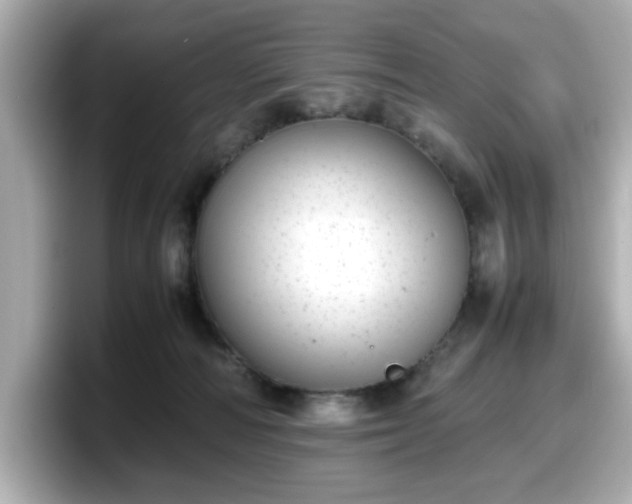 X0000098120226200804111121