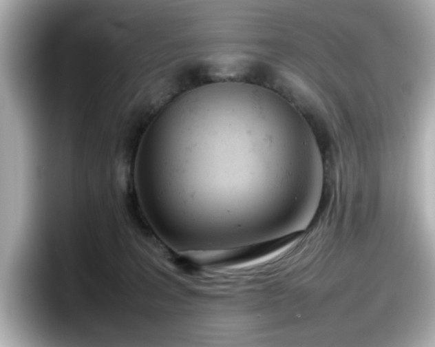X0000098120227200804111121