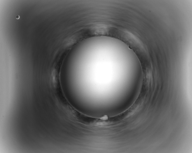 X0000098120228200804111121