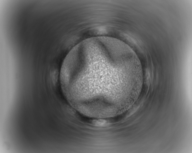 X0000098120230200804111121