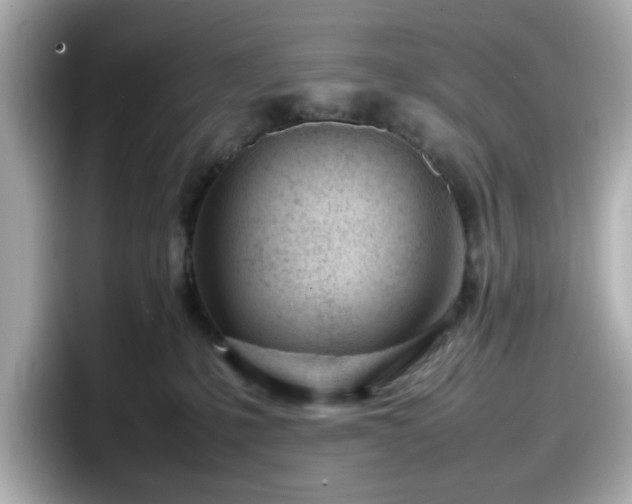 X0000098120231200804111121