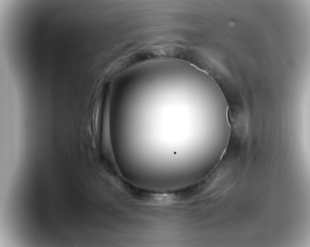 X0000098120233200804111121