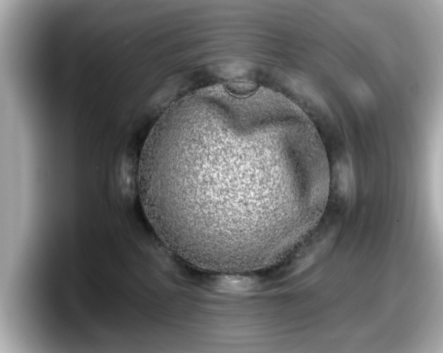 X0000098120234200804111121