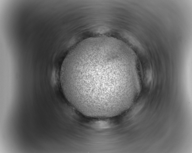 X0000098120236200804111121