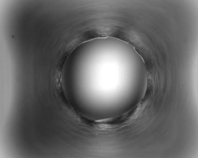 X0000098120237200804111121