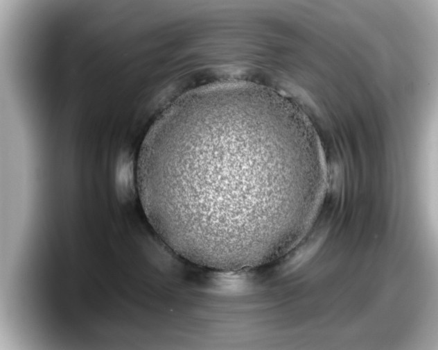 X0000098120238200804111121