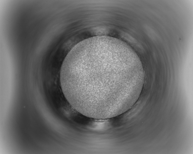 X0000098120240200804111121