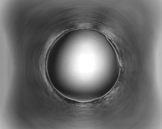X0000098120241200804111121