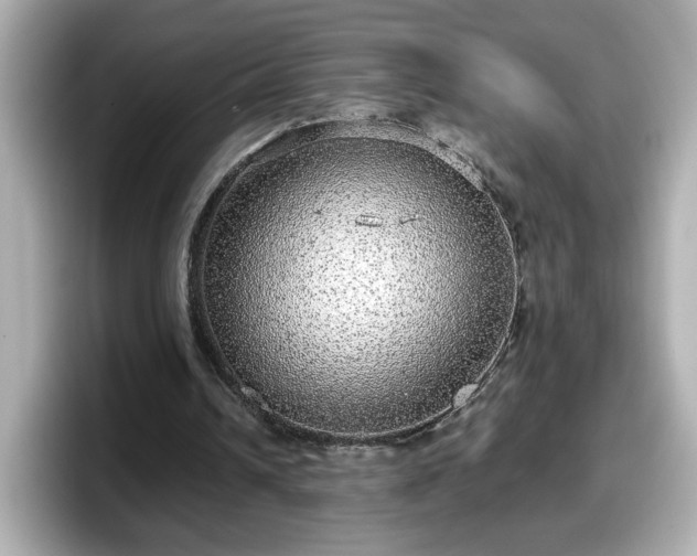 X0000098120242200804111121