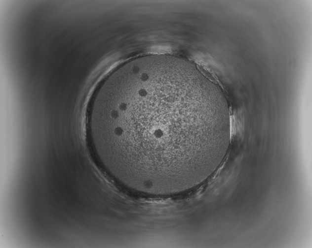 X0000098120243200804111121