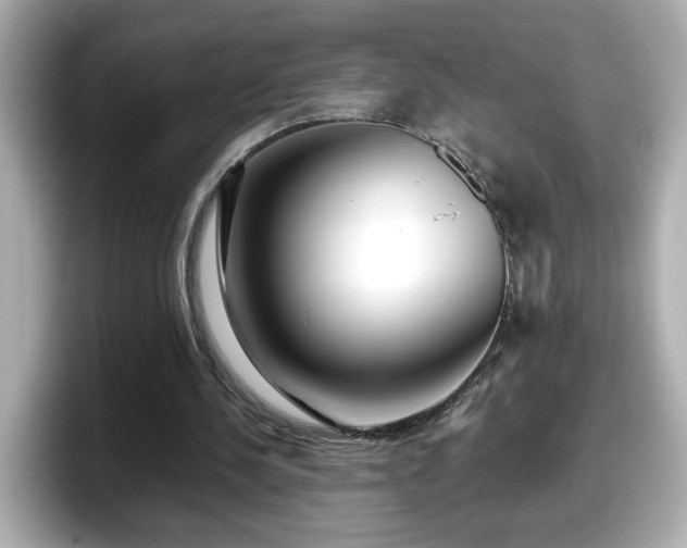 X0000098120244200804111121