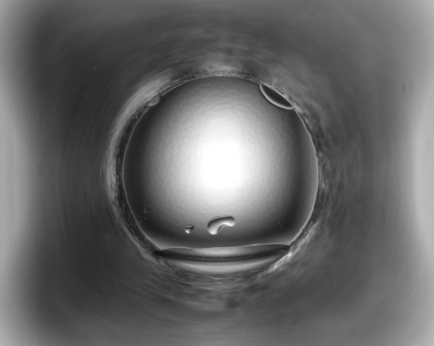 X0000098120245200804111121