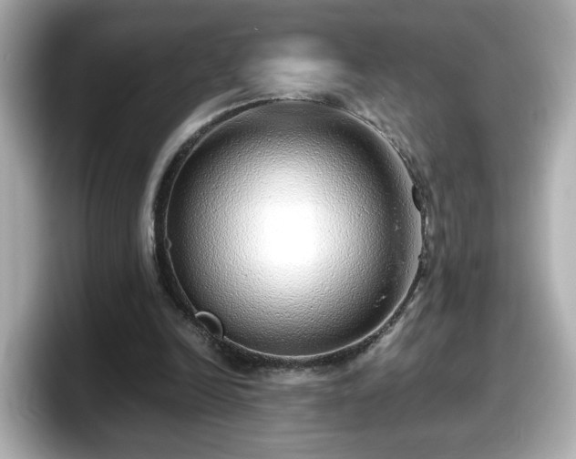 X0000098120246200804111121