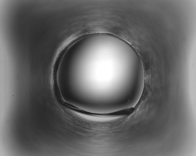 X0000098120248200804111121