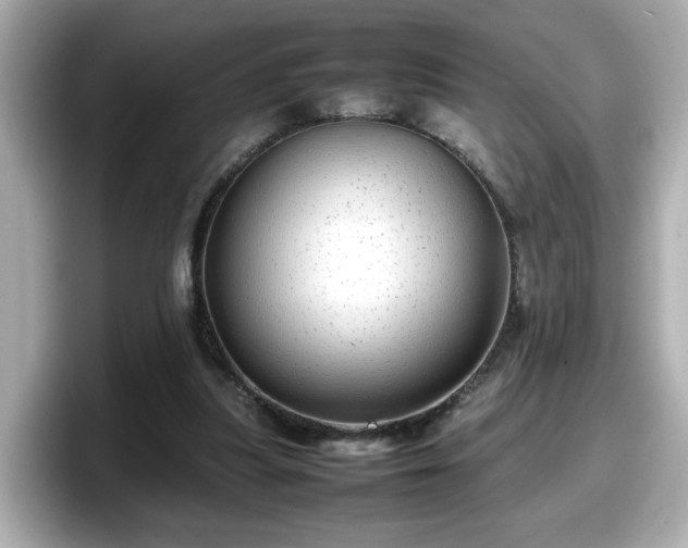X0000098120251200804111121