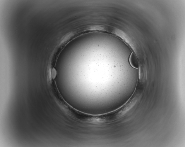 X0000098120253200804111121