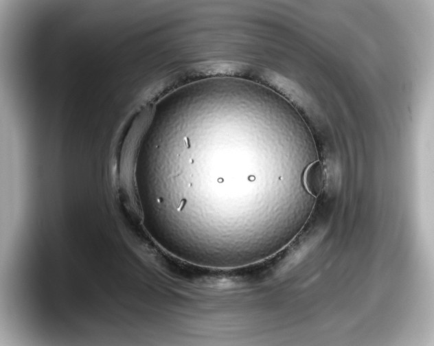 X0000098120254200804111121