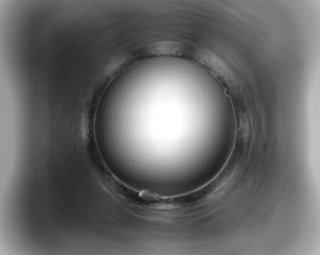 X0000098120255200804111121