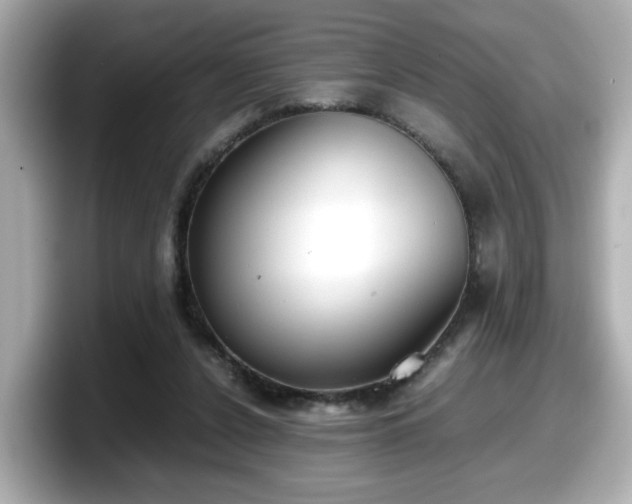X0000098120256200804111121