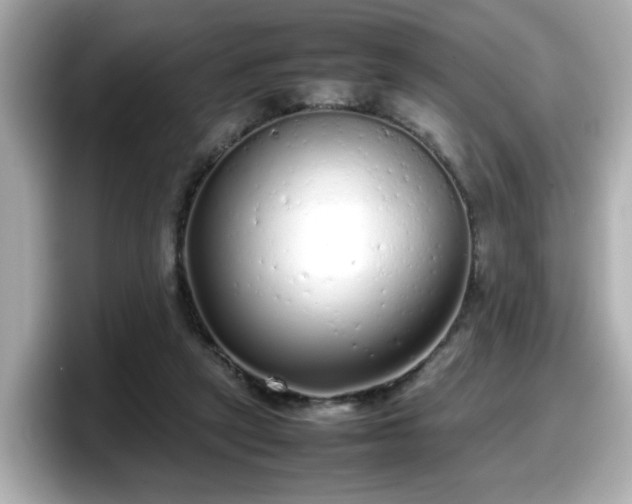 X0000098120257200804111121