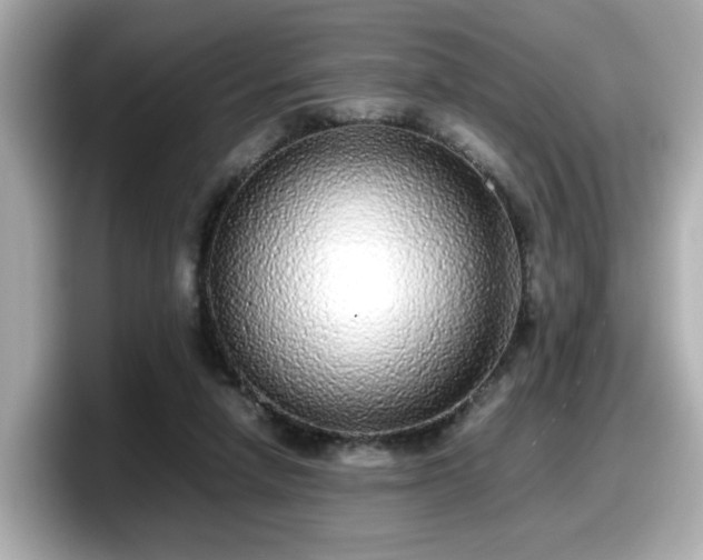 X0000098120258200804111121