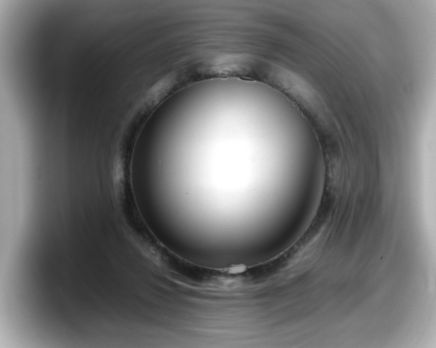 X0000098120260200804111121