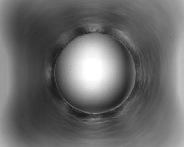 X0000098120263200804111121