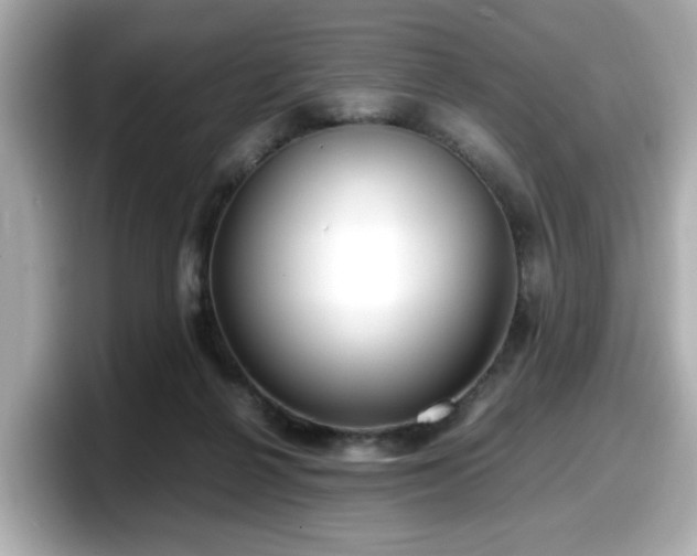 X0000098120264200804111121