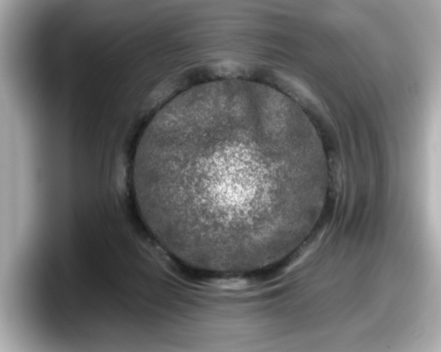 X0000098120266200804111121