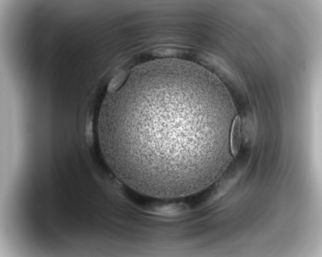 X0000098120267200804111121