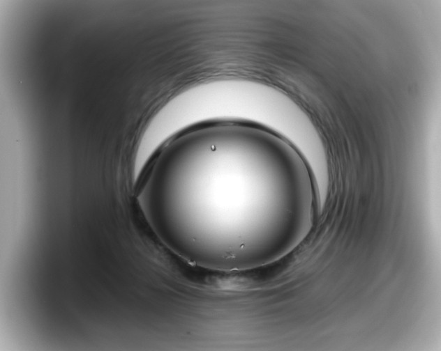 X0000098120268200804111121