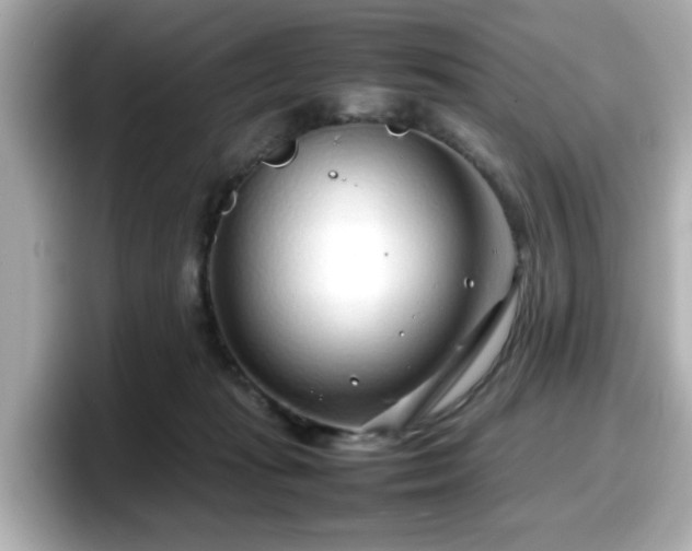 X0000098120269200804111121