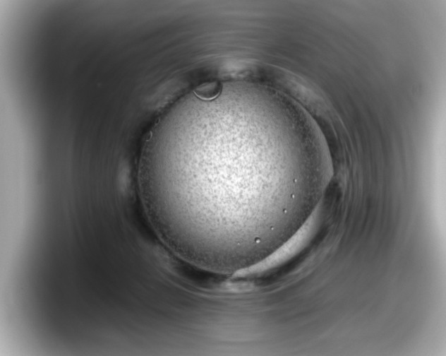 X0000098120270200804111121