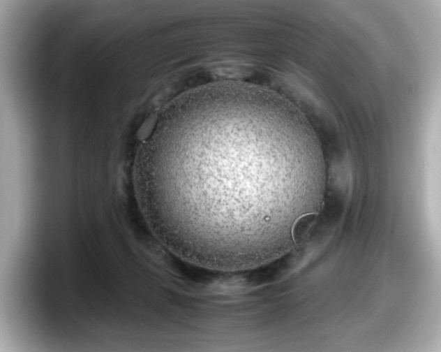 X0000098120271200804111121