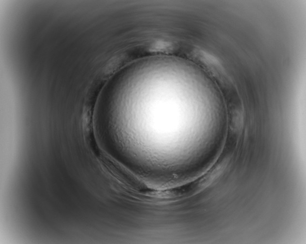 X0000098120273200804111121