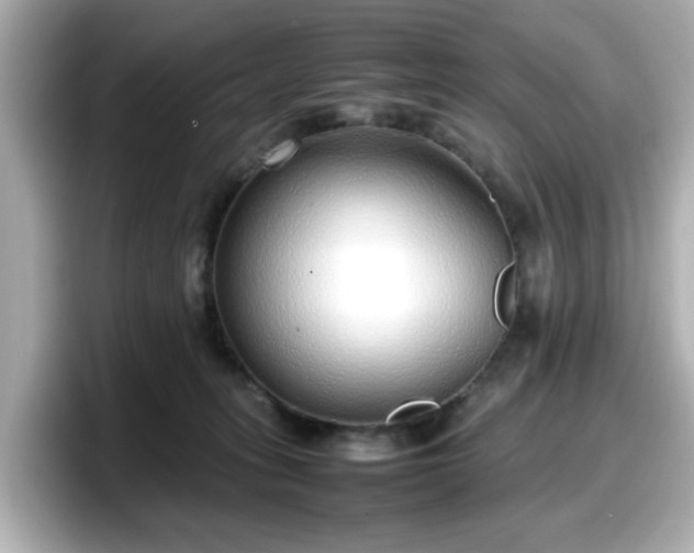 X0000098120275200804111121