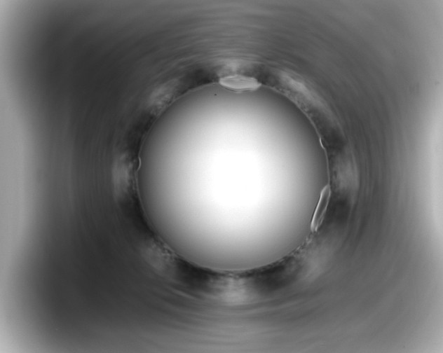 X0000098120276200804111121